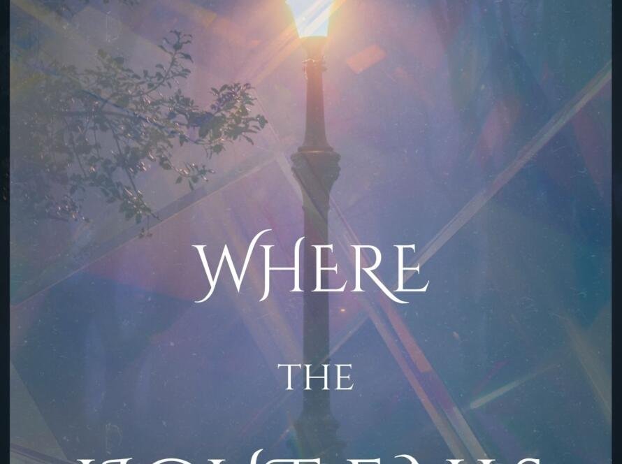 Where the Light Falls